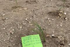WhatsApp-Gorsel-2024-11-11-saat-13.21.19_a55dc998
