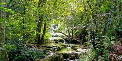 DOĞANIN SUNDUĞU FAYDALARI KAYBEDİYORUZ