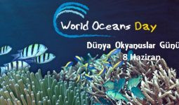 8 Haziran Dünya Okyanuslar Günü