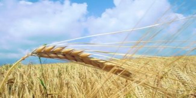 Sağlıklı ekosistemler ve biyolojik çeşitliliğimiz gıdamızın garantisidir