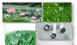 Biyomimikri: Lotus Etkisi