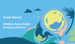 Sulak Alanlar: Afet risklerine karşı doğal koruyucularımız