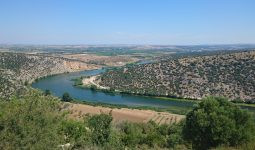 ARAPLAR BOĞAZI (KARAMENDERES VADİSİ, ÇANAKKALE) VE CİVARININ HERPETOFAUNA VE AVİFAUNASI