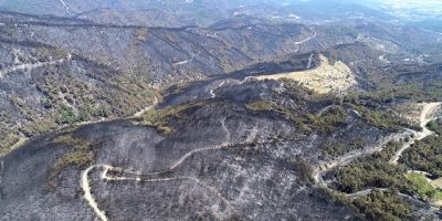 YANAN ORMANLARDA NE OLUR? NE OLMAMALI?