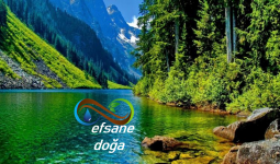 EFSANE CUMA MI? EFSANE DOĞA MI?