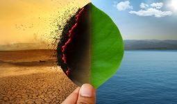 DÜNYANIN İKLİM ve ÇEVRESEL SORUNLARINA ÇÖZÜM ÖNERİLERİ