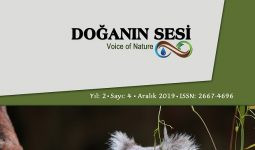 Doğanın Sesi Dergisi Yıl.2 Sayı.4