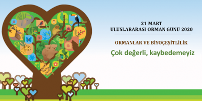 ORMANLAR, BİYOLOJİK ÇEŞİTLİLİK VE COVID-19