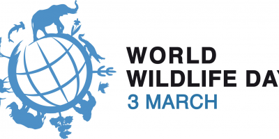 3 Mart DÜNYA YABAN HAYATI GÜNÜ