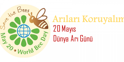 20 Mayıs DÜNYA ARI GÜNÜ