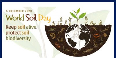 DÜNYA TOPRAK GÜNÜ: Toprağı canlı tut, toprak biyolojik çeşitliliğini koru