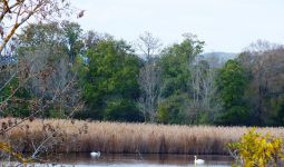 2 ŞUBAT DÜNYA SULAK ALANLAR GÜNÜ