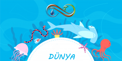 8 HAZİRAN DÜNYA OKYANUSLAR GÜNÜ