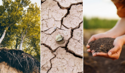 Akdeniz Bölgesinde İklim Değişimleri ve Toprak Bozunması Sonucu Bozulan Toprak Sağlığının Sağlanması