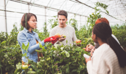 Eğitimde Eleştirel Düşünce ve Bilinç Gelişiminin Önemi ve Geleceğimiz