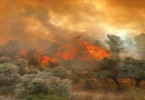 Orman Yangınlarını Meteorolojik Koşullar Değil, İnsanın Neden Olduğu Faaliyetler Çıkarmaktadır