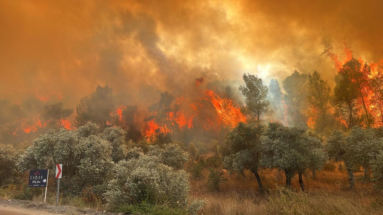 Orman Yangınlarını Meteorolojik Koşullar Değil, İnsanın Neden Olduğu Faaliyetler Çıkarmaktadır