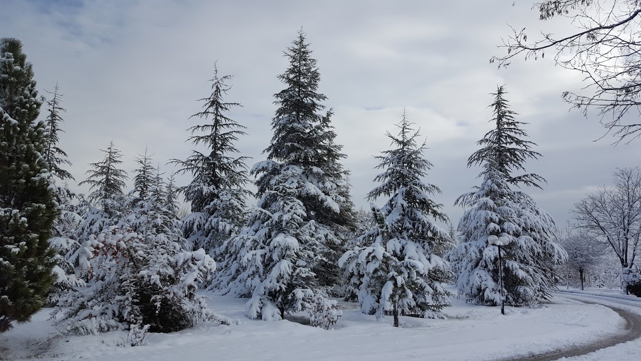 Doğanın Beyaz Örtüsü Karın Güzel Yüzü ve Sürdürülebilirlik Açısında Ekolojik Önemi Doğanın Beyaz Örtüsü Karın Güzel Yüzü ve Sürdürülebilirlik Açısında Ekolojik Önemi